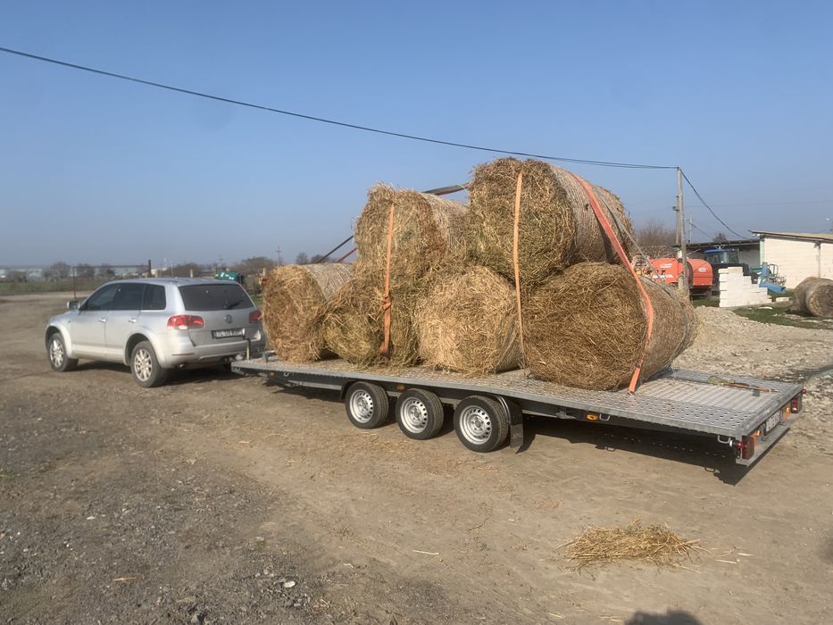 Tractari auto Tulcea NON-STOP dube / platforma -Asistenta Rutiera