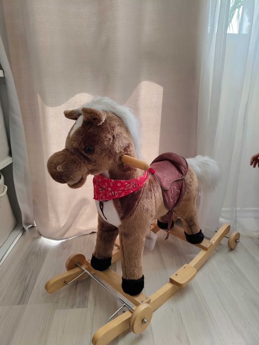 Люлеещо се конче