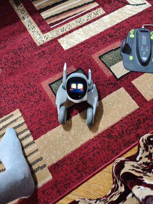 Robot Loona KEYi Tech