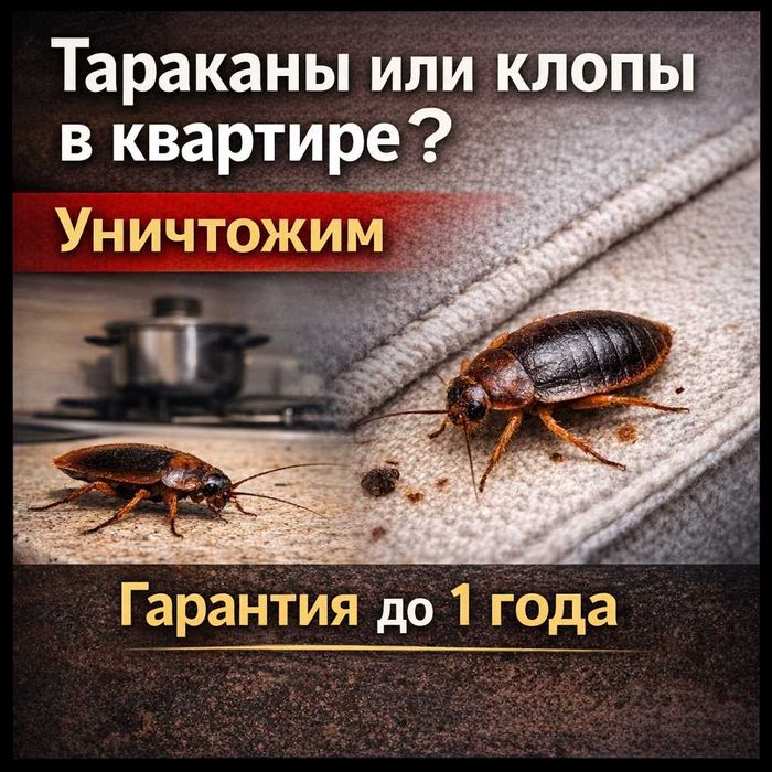 Тараканы и клопы? СЭС решит проблему за 1 визит!