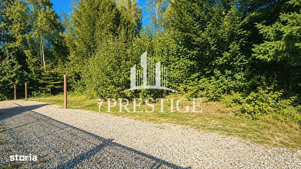 Teren Intravilan De Vânzare | Valea Avrigului | 744 Mp