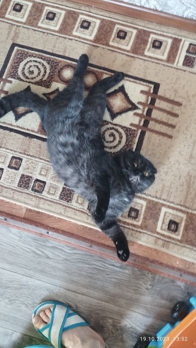 Брутальный жених