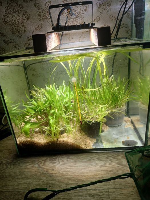Аквариум 60 л в комплекте всё включено