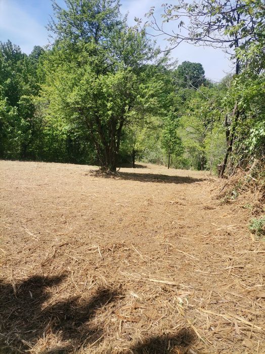 Продавам имот с. Голяма Желязна