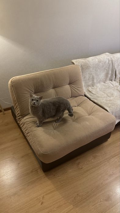 Продам мини-мини-диван