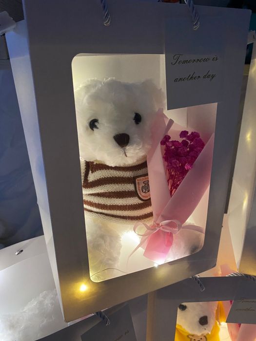 Медвежонки новые