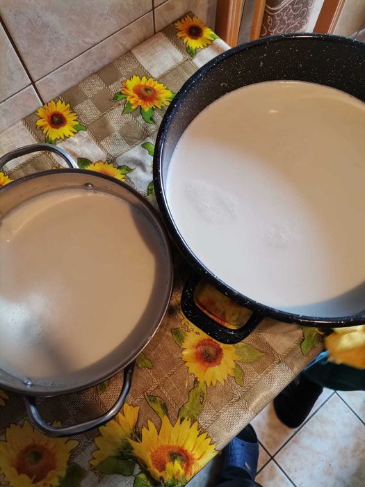 Branza si lapte de capra !