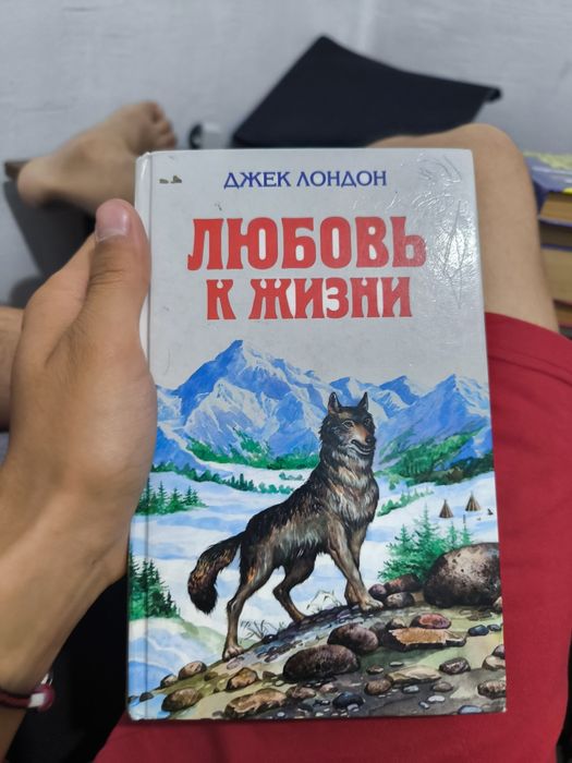 Книга любовь к жизни