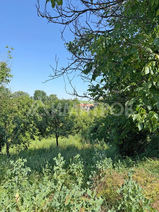 Продава се Парцел в с. Мадара, Област Шумен - 1303 кв.м за 20 €/кв.м - Снимка #1