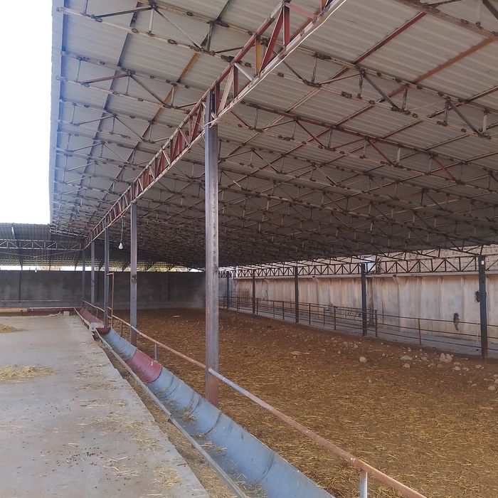 Barcha turdagi tom yopish xizmati