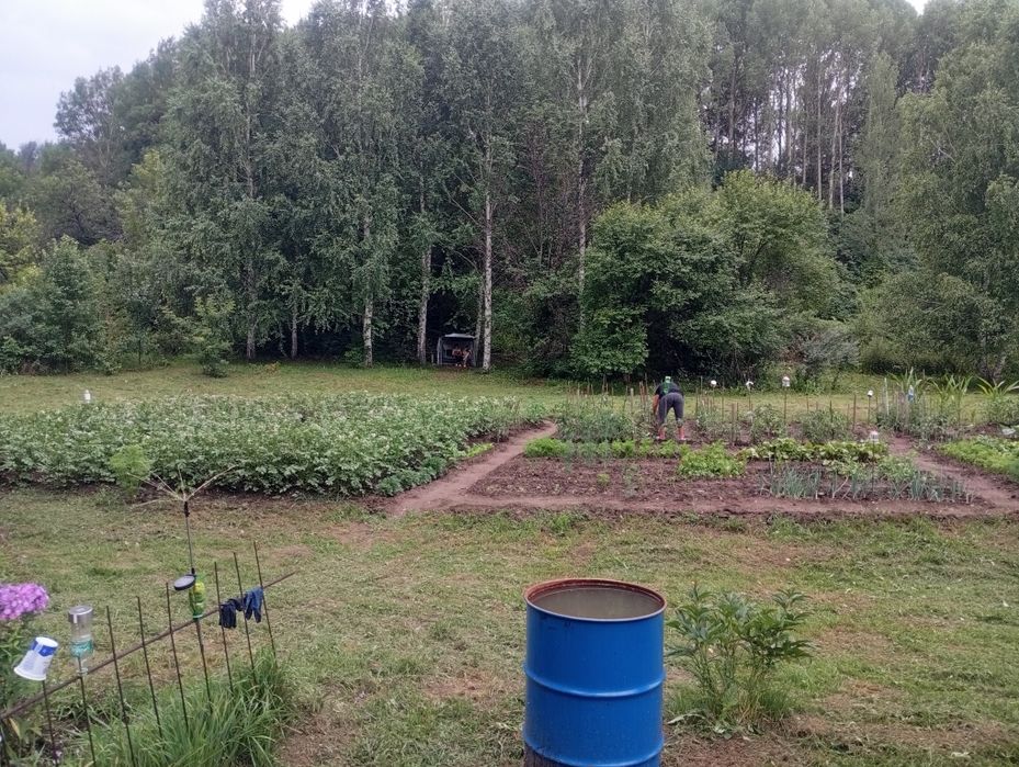 Дача с пасекой (за Тарханкой)