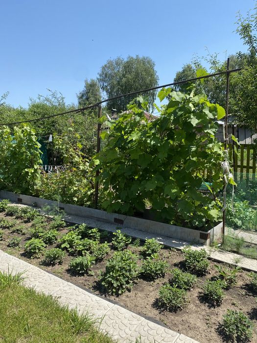 Продам дом район Аэропорт