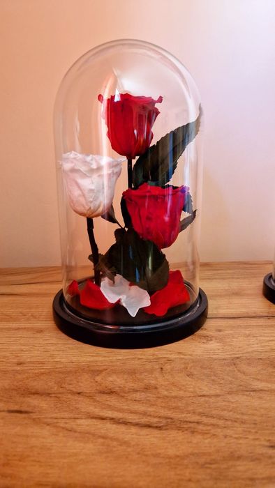 Trandafiri Criogenați – Cadoul care Durează Ani