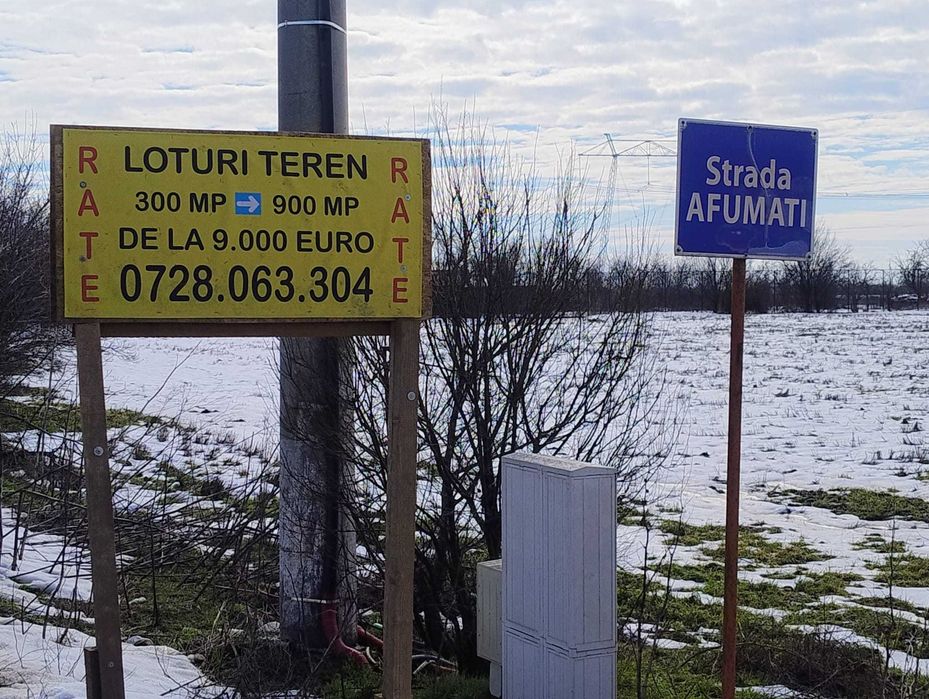 Frumusani Teren 300 mp-Strada populata