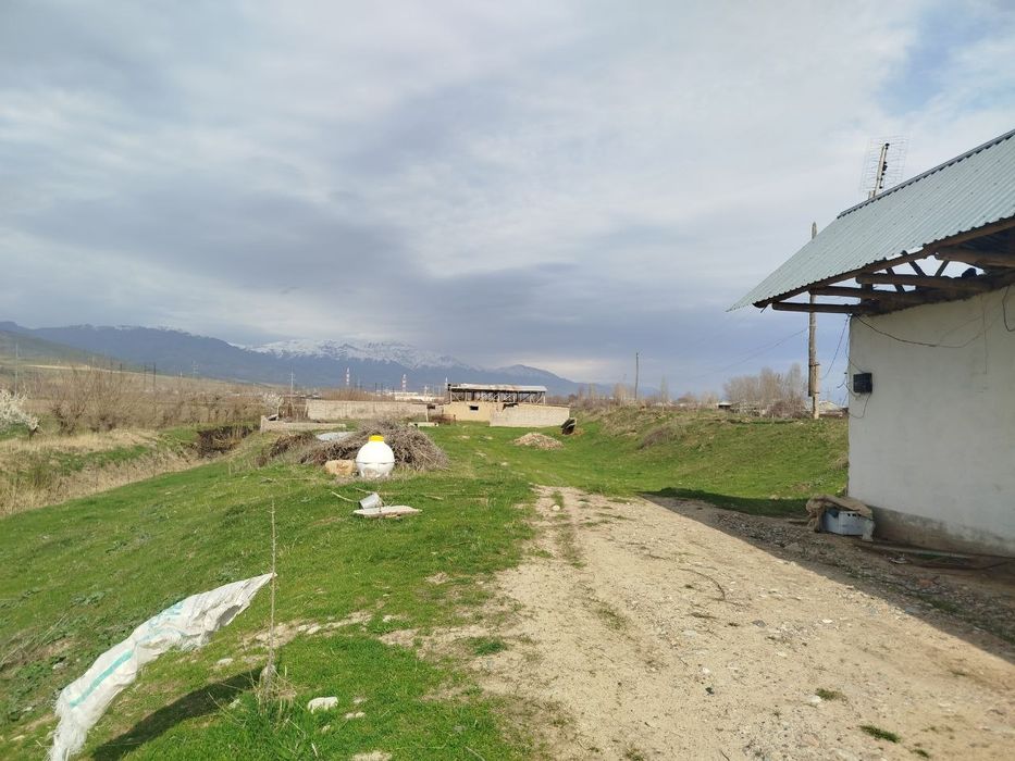 Срочно сотилади ферма Босталик районуда Таваксайда ферма яхши жойда