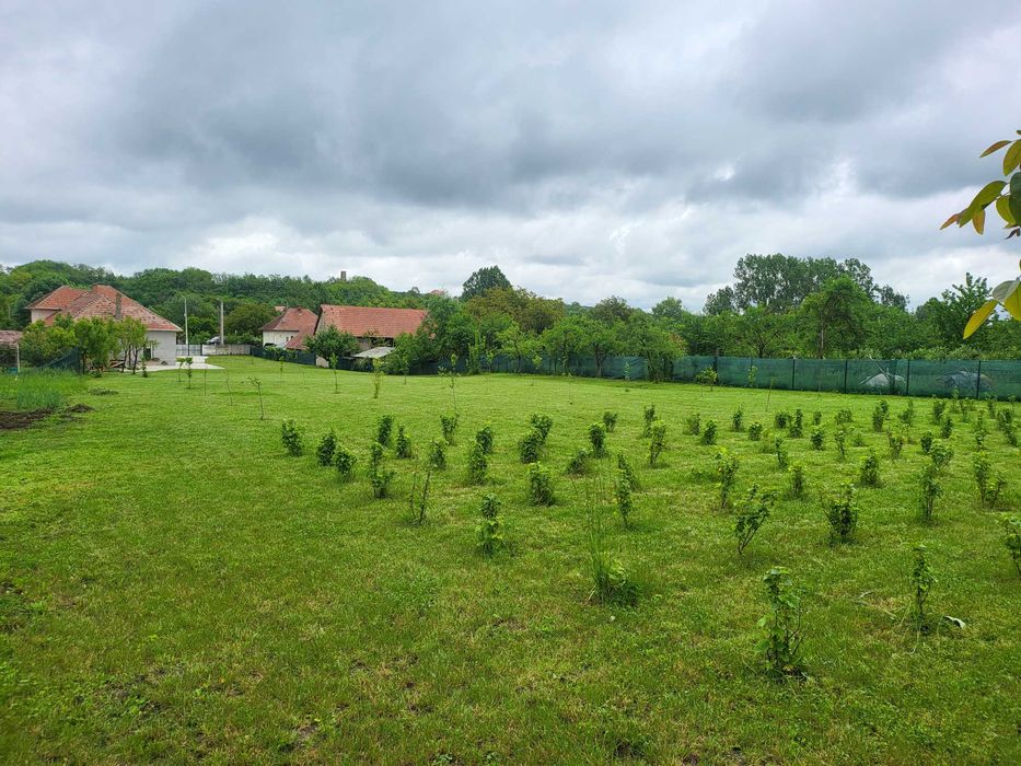 Teren Stremt str principala nr 113