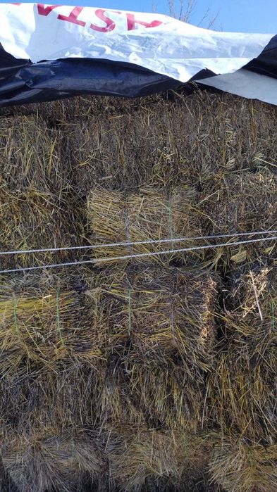 Furaje - baloți de fân