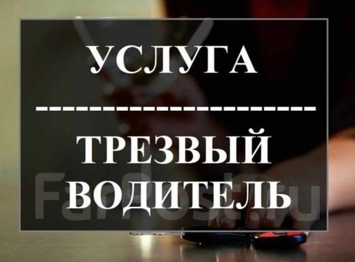 трезвый водитель