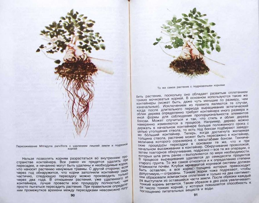 Цветоводство+ – Подборка книг_02