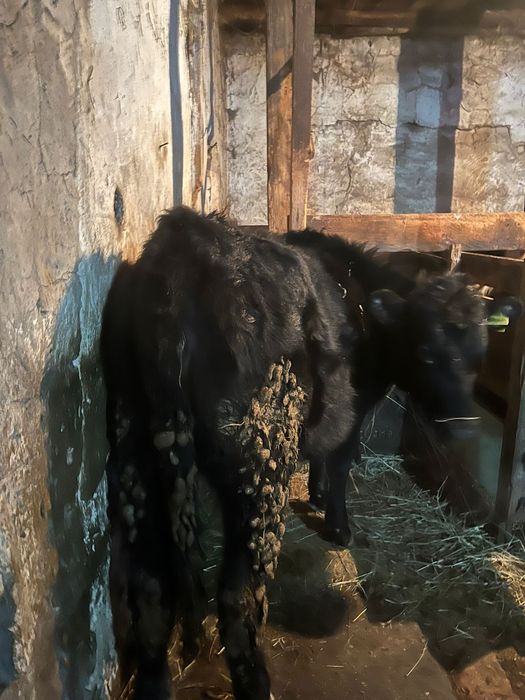 Сатылады  хабарласыныздар