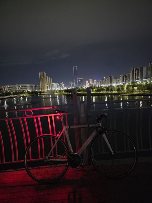 Single speed/tsunami snm 100