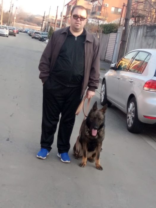 Servicii de dresaj la domiciliu