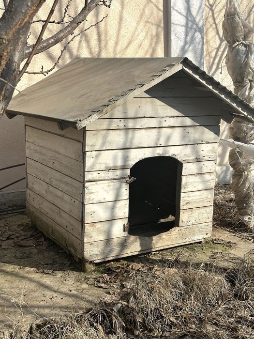 Будка для собаки