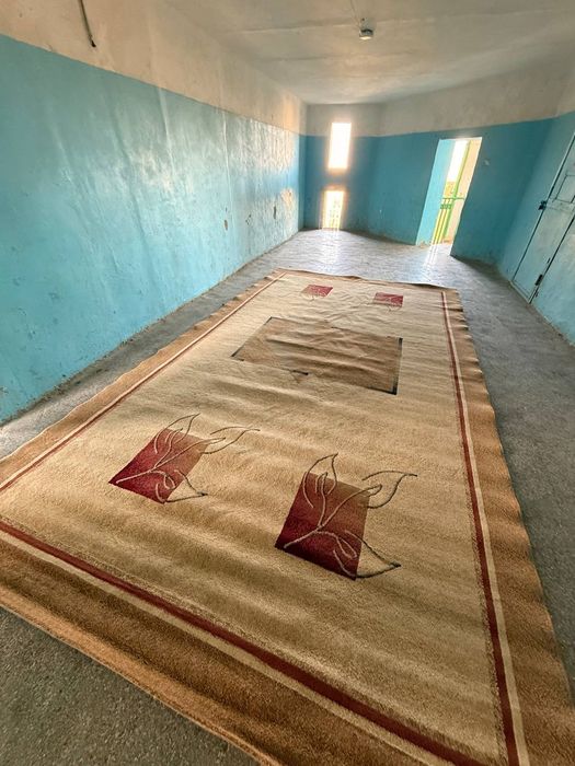 Ковер для дома 3×5.5м