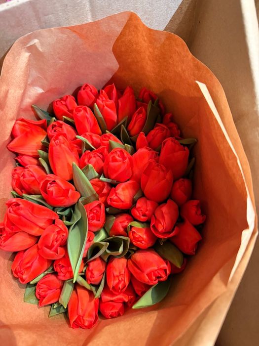 Тюльпан оптом Семей