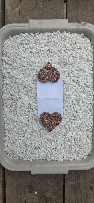 Praf de marmura si mozaic alb rosiatic negru gri  tencuiala decorativă