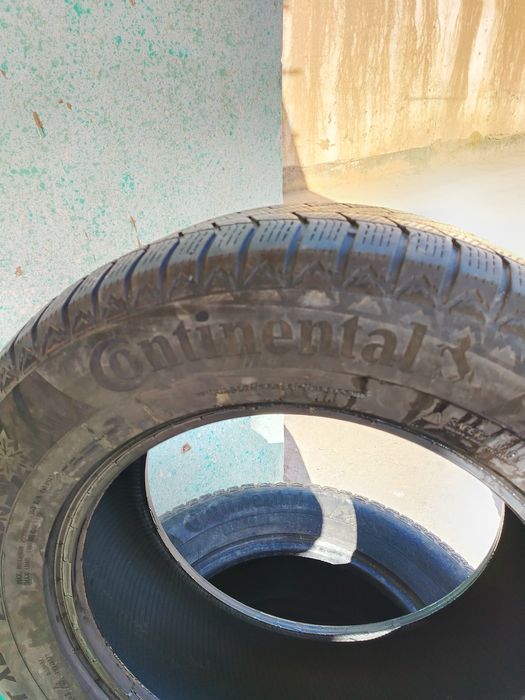 Шына всесизонка прадам