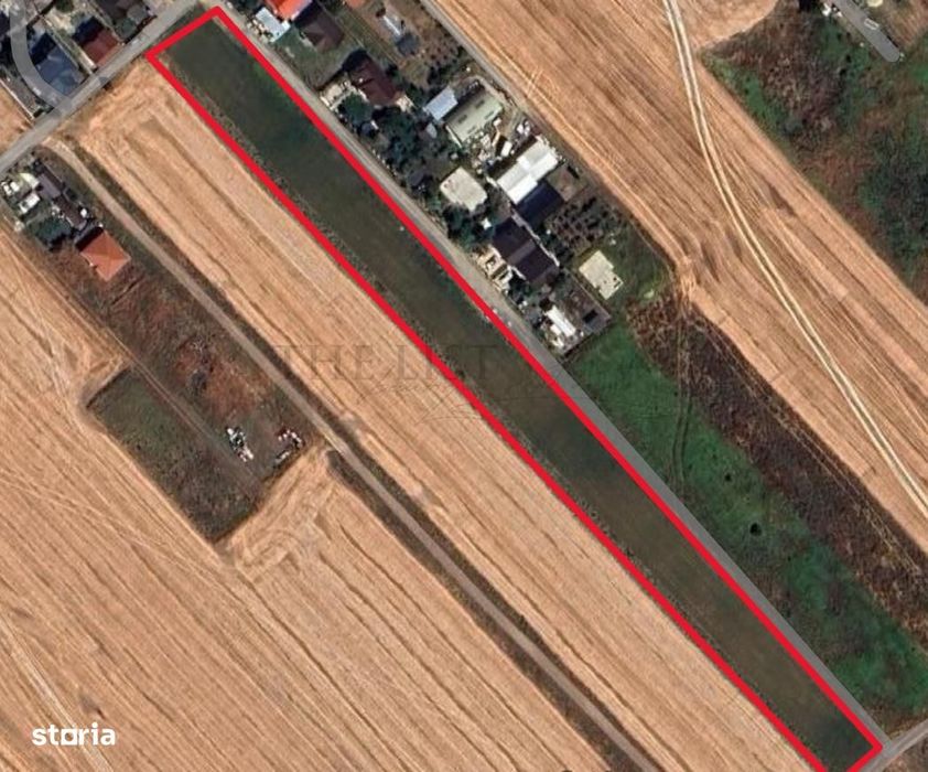 Teren Intravilan | 4869 mp | DARZA