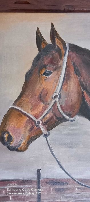 Картина за стена-маслени бои,рамка-дъб