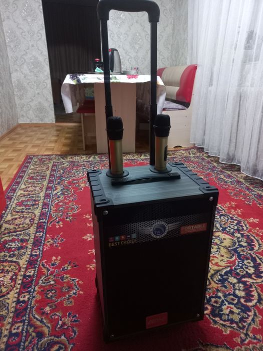 Калонка музыкальная