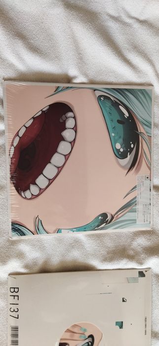 Виниловые пластинки Somoku Hodo