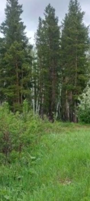 Срочно продаю Дача Щучинск рядом лес