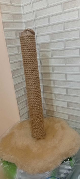 Когтеточка для кошек