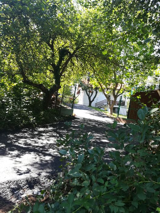 Асфалтиране  Банкя