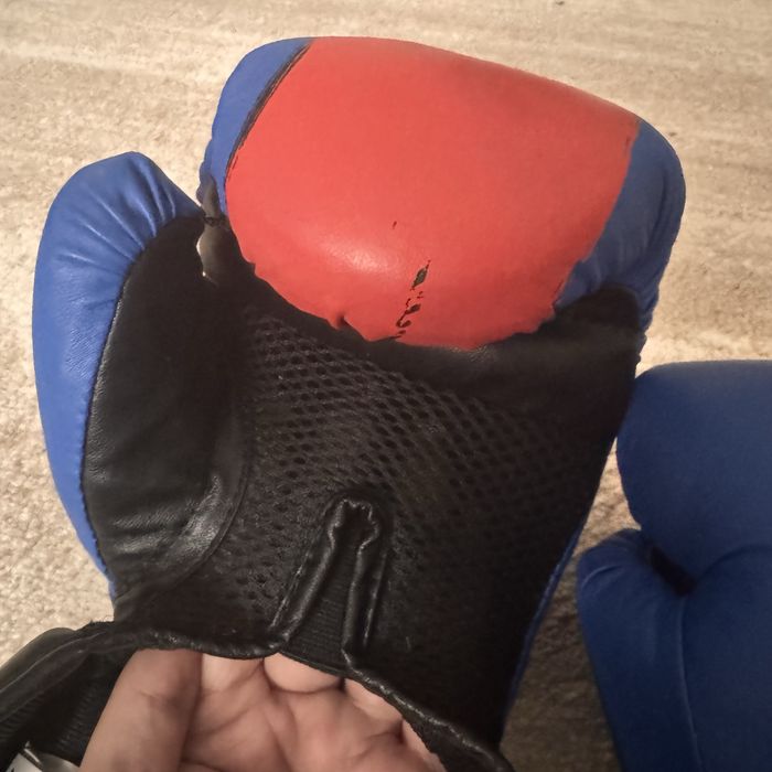 Manusi box copii everlast 8 oz