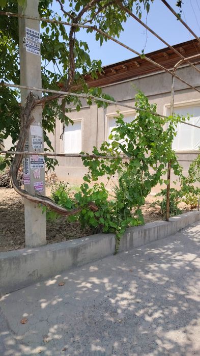 Учтепа Уризор махаласи  Бошида газ Сув конилзац мужамам