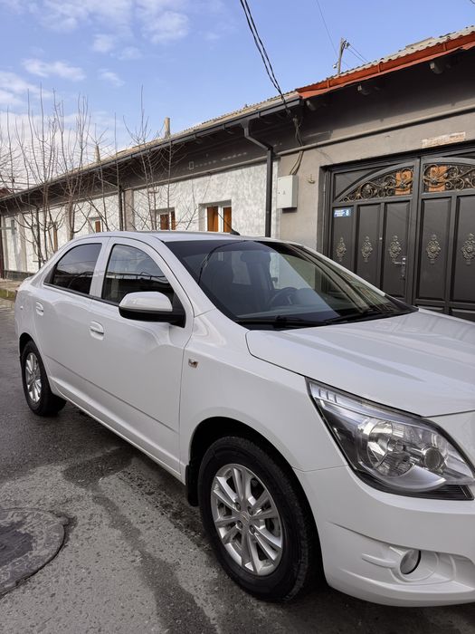 Serchno Cobalt sotaman