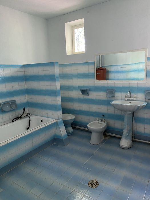 Vand casa in Chisineu-Cris