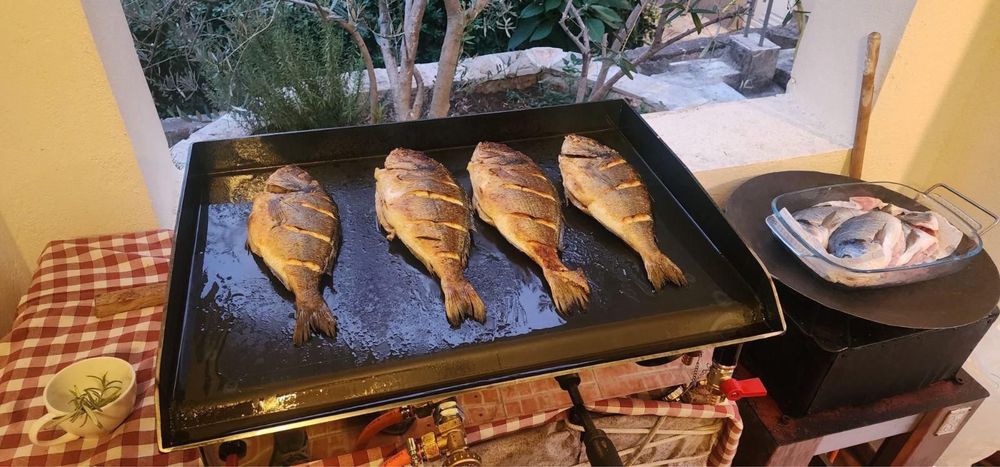 Plita pe gaz din otel carbon inoxidabil