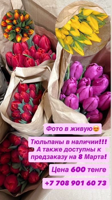 Тюльпаны в наличии