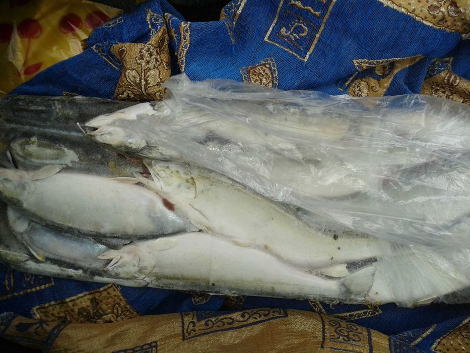 рыба Голец не разделанный. Продажа упаковками.