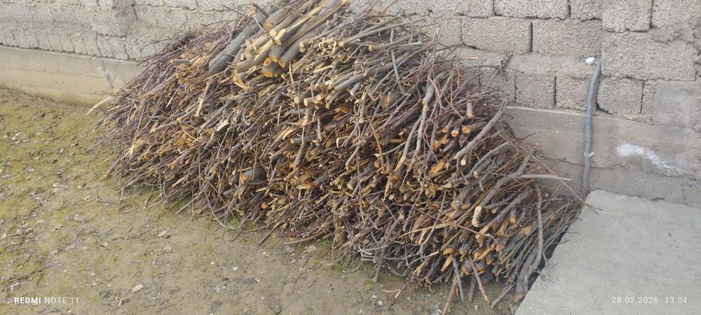 Olov yoqish uchun ótinlar