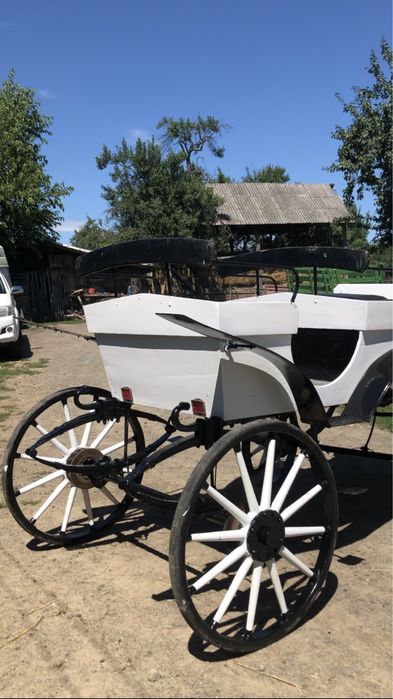 Vand șaretă/caleașcă pentru cai