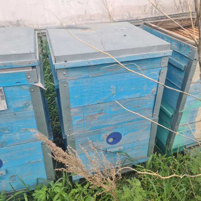 Продам улики, медогонку