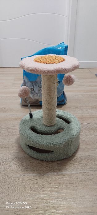 Ansamblu pentru pisici