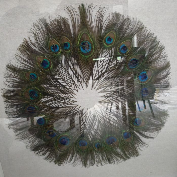 Tablou mare ornat cu pene de păun